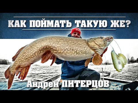 Видео: ПОПАЛ НА ЩУКУ накануне зимы!