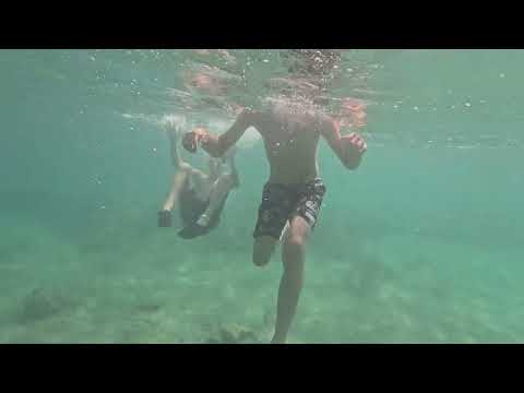 Видео: 20 юни 2025 г.