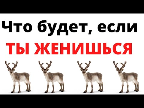 Видео: Что будет ЕСЛИ ТЫ ЖЕНИШЬСЯ