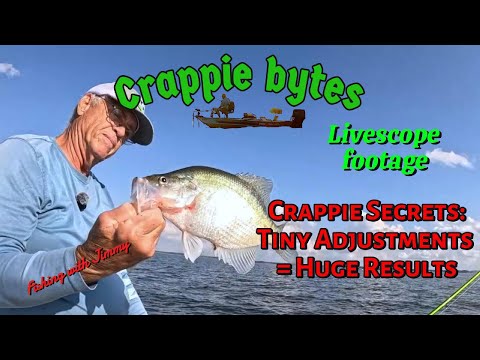 Видео: Секреты ловли краппи: небольшие корректировки = ОГРОМНЫЕ результаты #CrappieBytes #livescope #cra...