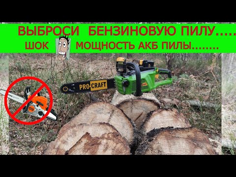 Видео: Уделала ВСЕХ 😳 Аккумуляторная пила ProCraft | Тест ВЕЗДЕ