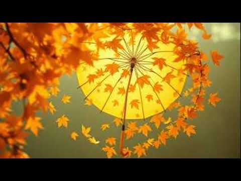 Видео: Зонт упал (cover)