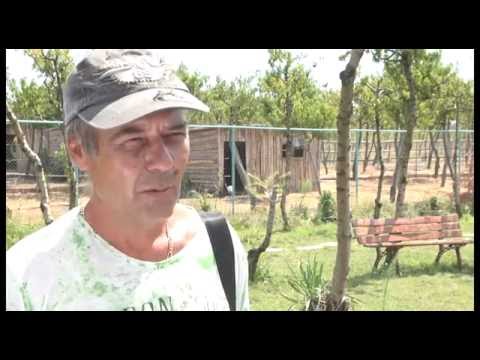 Видео: Как се прави Зоопарк