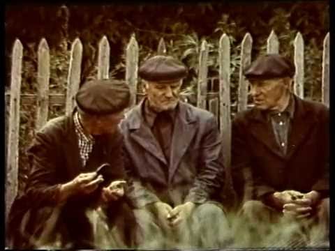 Видео: Чего не хватает Донгузу?