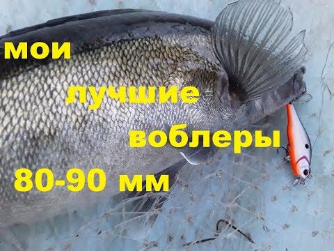 Видео: Мой топ 80-89-ых воблеров