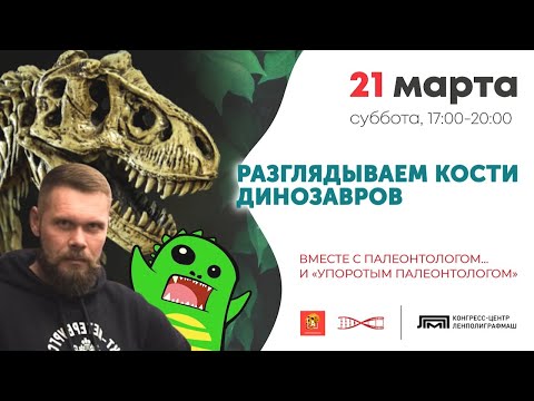 Видео: РАЗГЛЯДЫВАЕМ КОСТИ ДИНОЗАВРОВ вместе с Палеонтологом… и «Упоротым Палеонтологом»