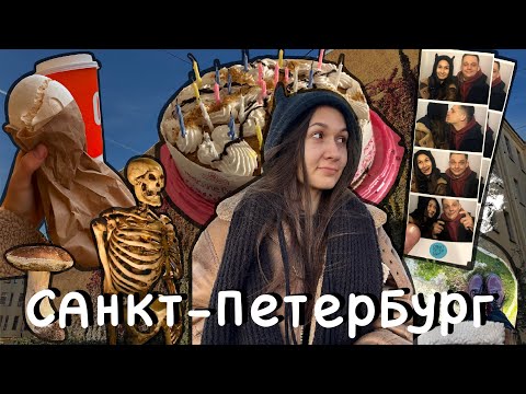 Видео: Влог / Неделя со мной в Санкт-Петербурге✨ / Кунсткамера, Летний сад, Ладожское озеро и многое другое