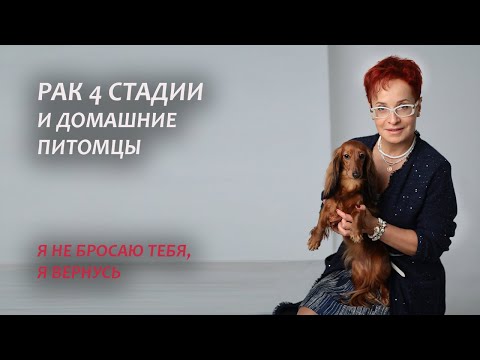 Видео: Рак 4 стадии. Моя история онкологии и домашние питомцы. Серия 17