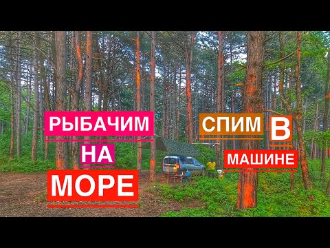 Видео: Дикарями на Чёрное Море Живем в Машине с Собаками, Спальное Место в Лада Ларгус.