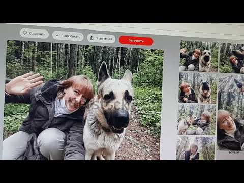 Видео: 20240122 Ходовые темы для фотостоков (фотобанков), которые я для себя выделила