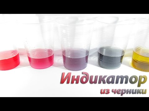 Видео: Универсальный индикатор из черники
