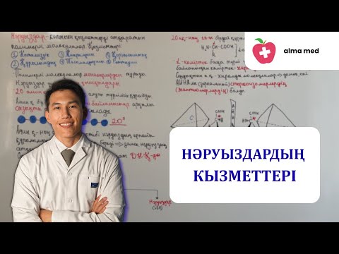 Видео: Нәруыздардың қызметтері