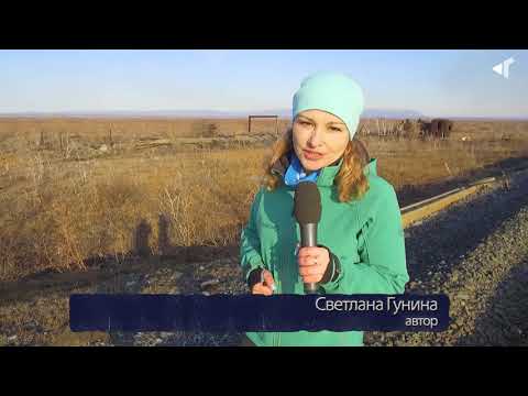Видео: «Нежданная» авиация»