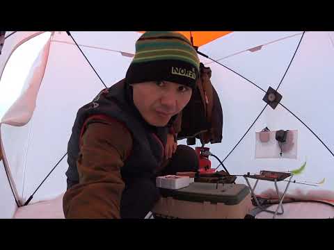 Видео: #Рыбалка на Пелядь 33-ШАХТА                                             #Как я начинаю ловить 🐟