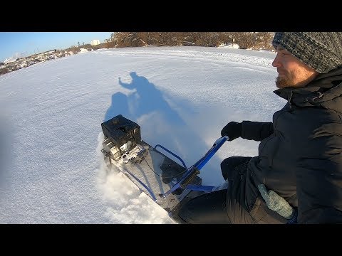 Видео: Мотобуксировщик АЛЬБАТРОС-L8 (мотособака)