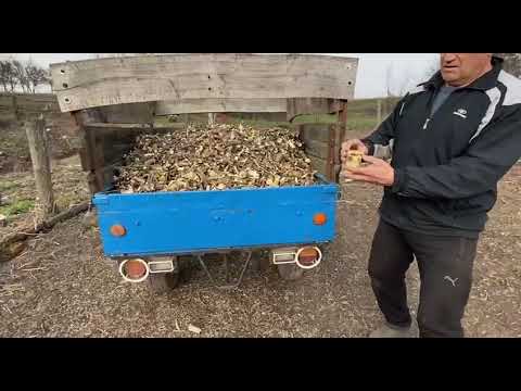 Видео: Шнековий подрібнювач гілок до мотоблока у роботі.#мінітрактори.#мотоблоки.#сільгосптехніка.