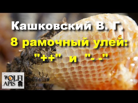 Видео: #Кашковский В. Г. #8_рамочный_улей:  "+ +"   и   "- -" .