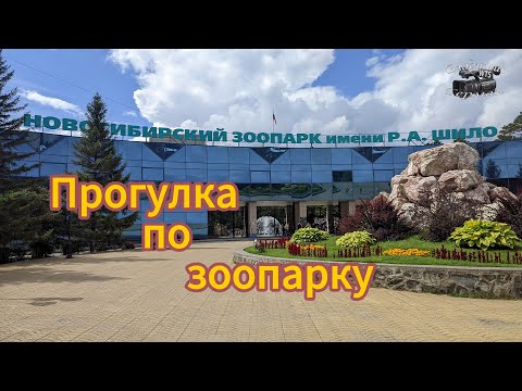 Видео: Прогулка по зоопарку,Новосибирск.