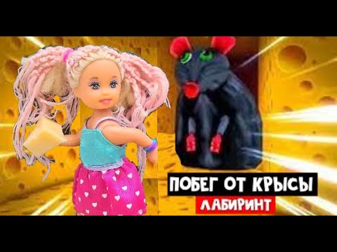 Видео: УБЕГАЮ ОТ СУМАСШЕДШЕЙ КРЫСЫ В РОБЛОКС! * Cheese Escape * Катя и Макс веселая семейка Даринелка