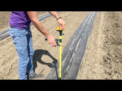 Видео: Без боли в спине сеем семена в грунт. Пистолет для посадки