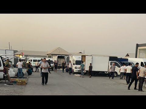 Видео: Олтиариқ кечки узум бозор 2025.10.сентябрь