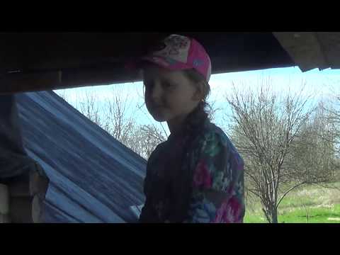 Видео: Генри Ли