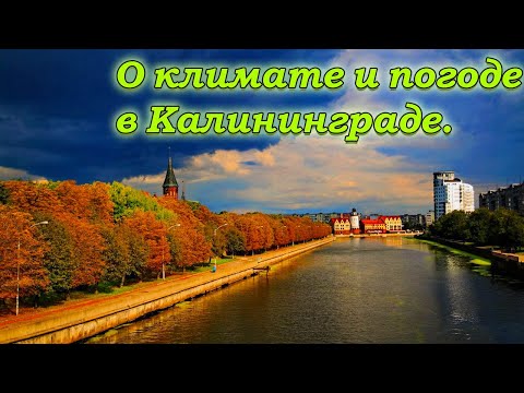 Видео: На ПМЖ в Калининград. О погоде и климате в Калининграде.