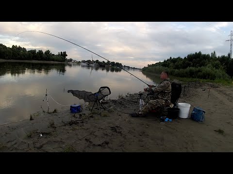 Видео: ПЕРВАЯ РЫБАЛКА НА САЗАНА Рыбалка как она есть.