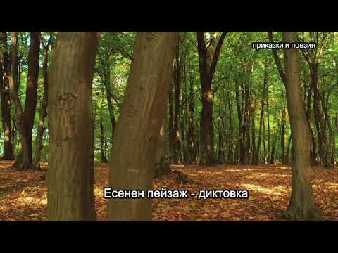 Видео: Есенен пейзаж - диктовка