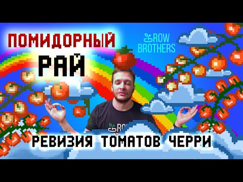 Видео: Томаты черри на гидропонике в гроубоксе DWC 🍅 - ТОТАЛЬНЫЙ ОБЗОР #черри #томаты #гидропоника