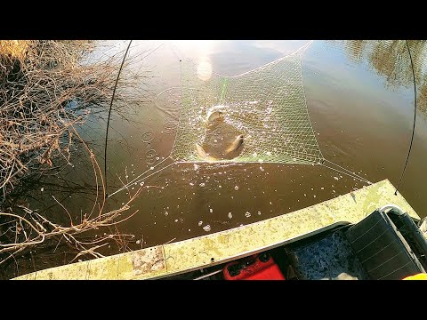 Видео: Рыбалка на ПАУК ПОДЪЁМНИК, в Сибирской реке, глубокой осенью с лодки. Рыбалка в Сибири 2021.