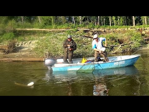 Видео: Щуки 3,4,5,6 кг одна за другой!!! ЖОР крупной щуки на Оби в августе! Коряги,джиг,судак.Рыбалка 2021