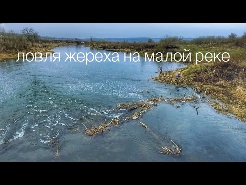 Видео: Ловля жереха на малой реке весной. Места, приманки и проводки.