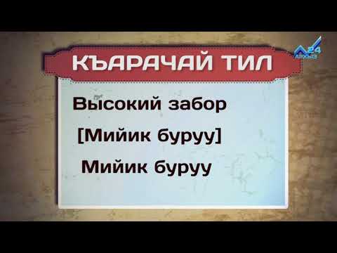 Видео: Разговорник (карачаевский язык) (28.12.2017)