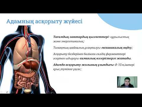 Видео: Асқорыту жүйесі 2 бөлім /Нағыз ҰБТ /Тоқтаров Ұлықбек / Биология