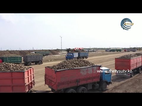 Видео: AGROLIFE - РОЛАЙВ  / ҚАНТ ҚЫЗЫЛШАСЫ / ЖЕТІСУЛЫҚ ШАРУАЛАР ҚАНША ТОННА ӨНІМ АЛДЫ?