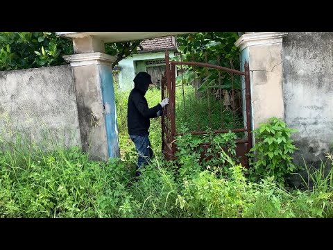 Видео: Красиво преобразите заброшенный дом — подстригите заросшую траву во дворе перед домом