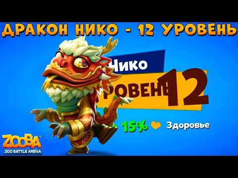Видео: КАЧАЕМ ДРАКОНА НИКО НА 12 УРОВЕНЬ В ИГРЕ ZOOBA