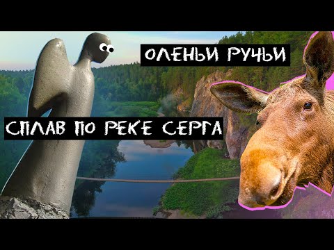 Видео: Оленьи ручьи сплав. Сколько лосей и медведей в парке? Сплав по Серге