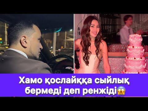 Видео: Хамо қослайққа сыйлық бермеді деп ренжіді😱