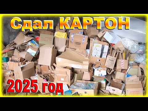 Видео: Сколько стоит картон в 2025 году. Еду сдавать в пункт приёма.