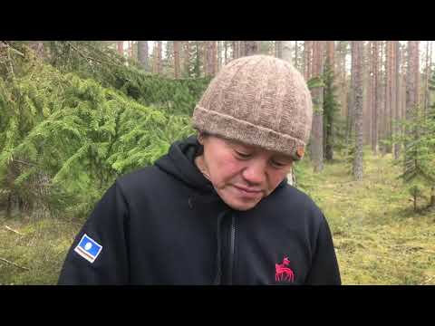 Видео: Кулан хаан. Про страх