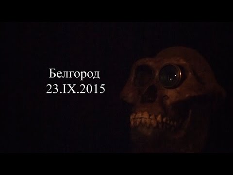 Видео: С.В. Савельев с докладом "Двойственность сознания в социальном выборе".
