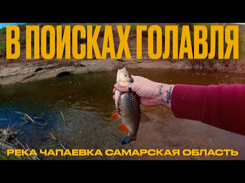 Видео: Трудовые поиски голавля на реке Чапаевка, Самарская область