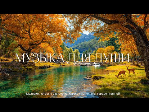 Видео: Послушайте Эту Музыку И Вам Станет Легче🍁Осенняя гармония для успокоения эмоций и внутреннего покоя🍁