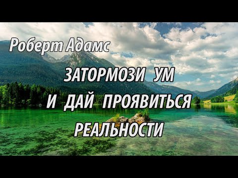 Видео: Затормози ум и дай проявиться реальности (Роберт Адамс.НикОшо)