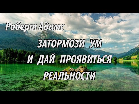 Видео: Затормози ум и дай проявиться реальности (Роберт Адамс.НикОшо)