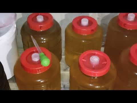 Видео: У себя в подвале пробую белые вина 28.10.2025 ( вторая серия) 