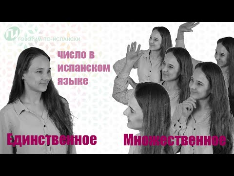 Видео: Урок 3. МНОЖЕСТВЕННОЕ число в ИСПАНСКОМ ЯЗЫКЕ [Singular y Plural]