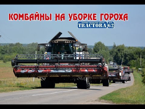 Видео: Комбайны на уборке гороха